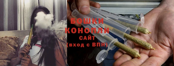прущие грибы Нязепетровск