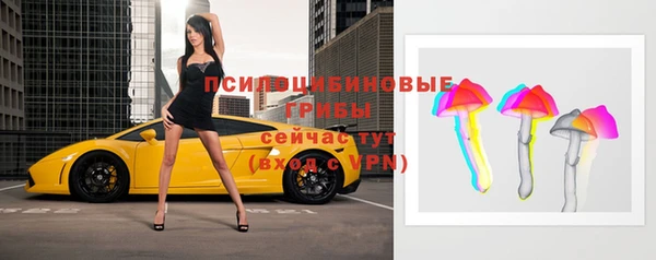 стаф Няндома