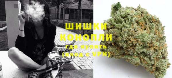 стаф Няндома
