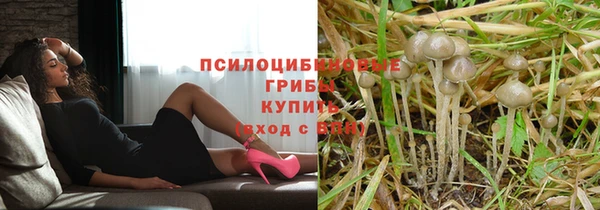 стаф Няндома