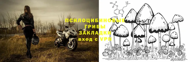 Галлюциногенные грибы MAGIC MUSHROOMS  Новое Девяткино 